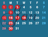 SCHEDULE