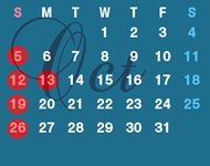 SCHEDULE