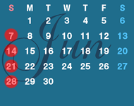 SCHEDULE
